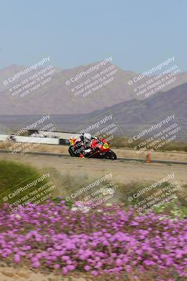 media/Feb-04-2023-SoCal Trackdays (Sat) [[8a776bf2c3]]/Turn 15 Inside Blooming (1050am)/